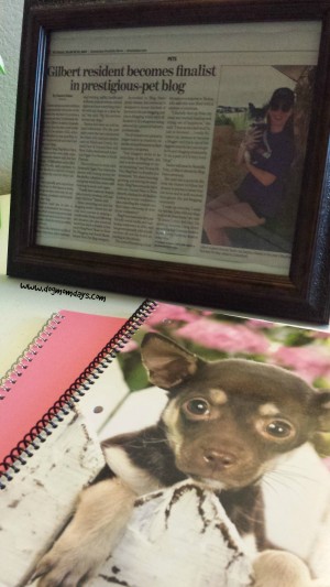 My framed newspaper article and a cute new Chihuahua notebook I bought! I love handwriting notes for myself. 