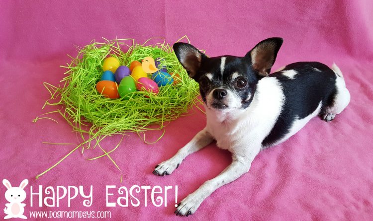 dog friendly Easter