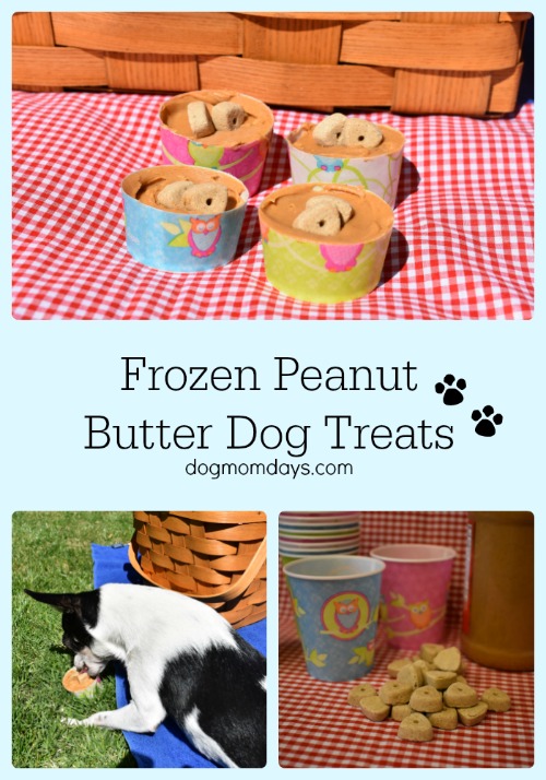 frozen peanut butter dog treats