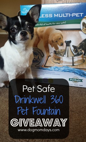 Drinkwell pet fountain giveaway