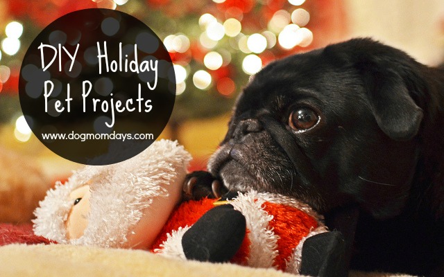 DIY holiday pet projects