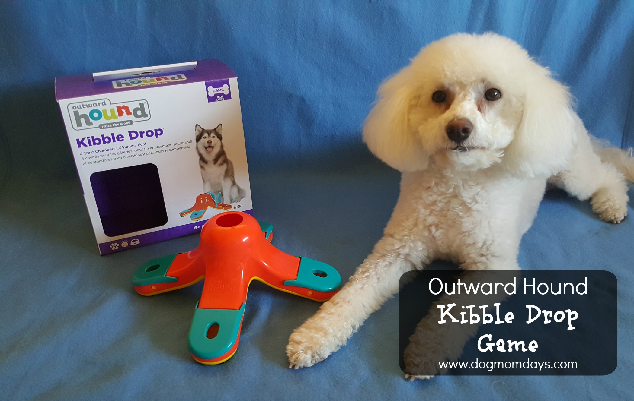 Outward Hound kibble drop game for dogs