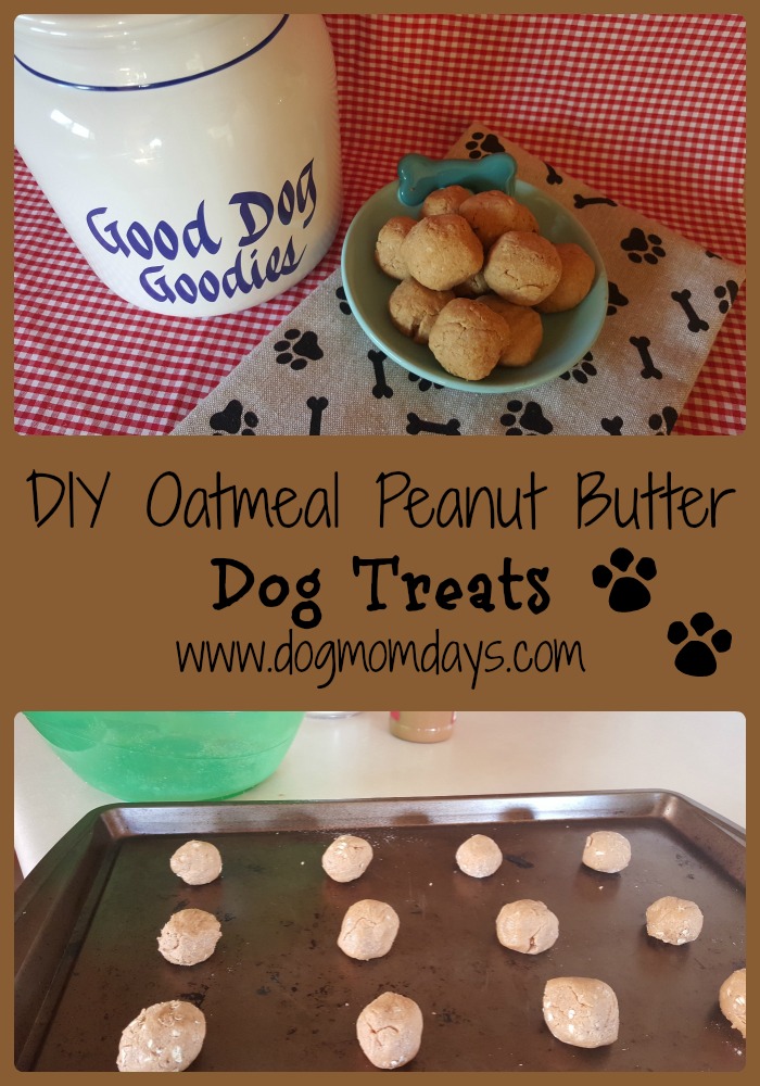 DIY oatmeal peanut butter dog treats