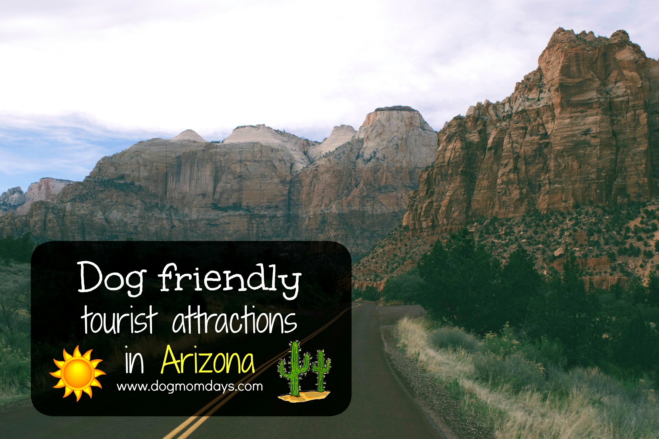 dog friendly tourist attractions in Arizona