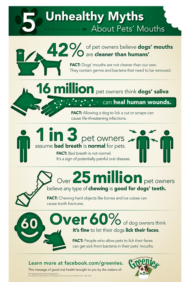 pet dental health facts