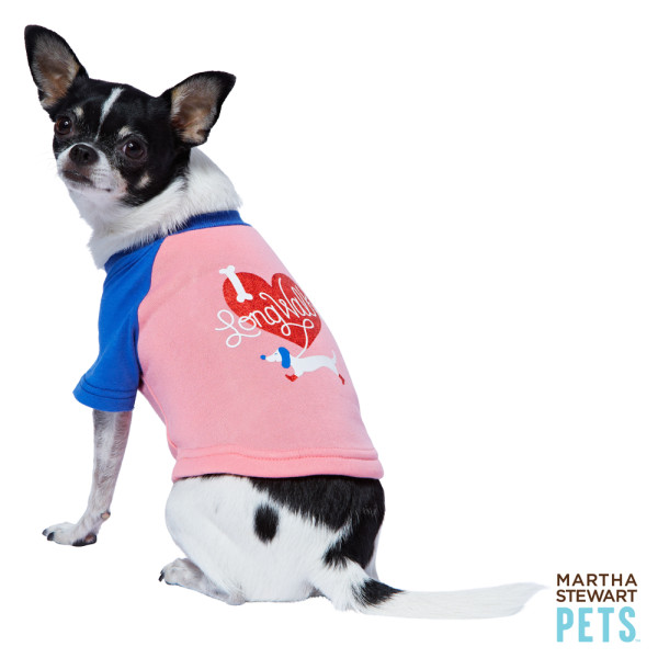 Valentine's shirt Martha Stewart Pets PetSmart