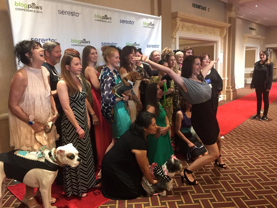 5 Types of People Who Should Attend the BlogPaws Conference
