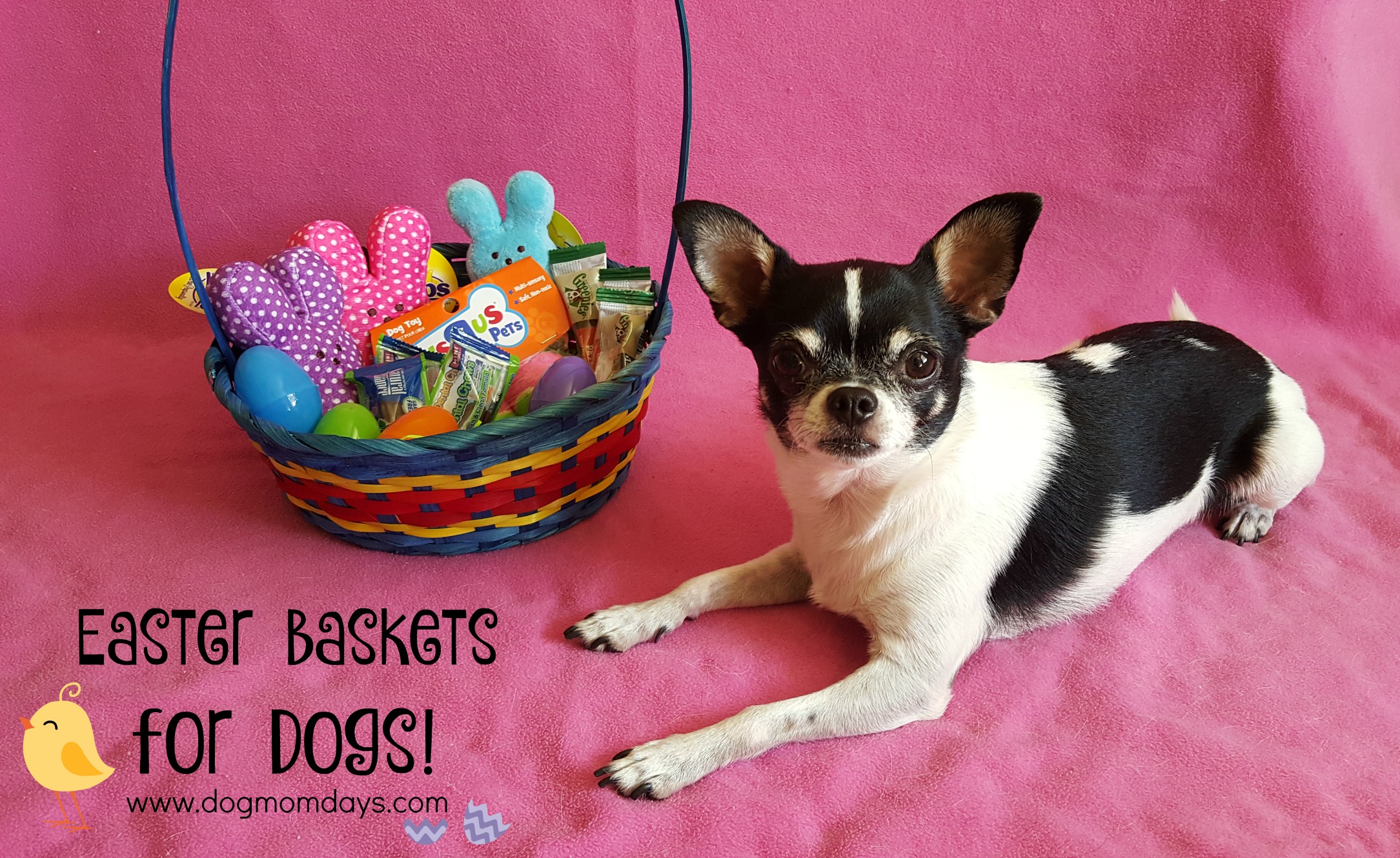 How to put together an Easter basket for your dog