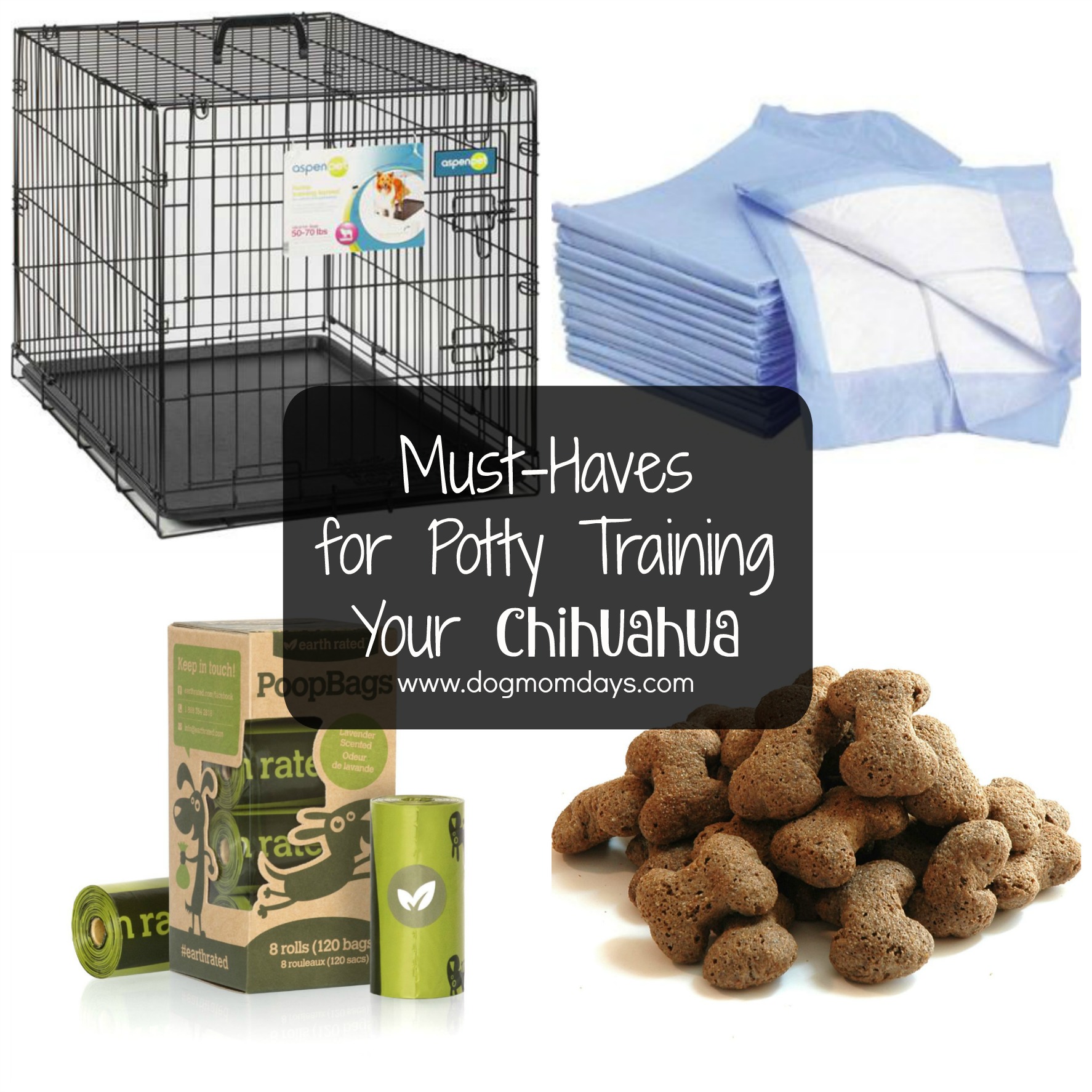 10 Tips for Effectively Potty Training Your Chihuahua
