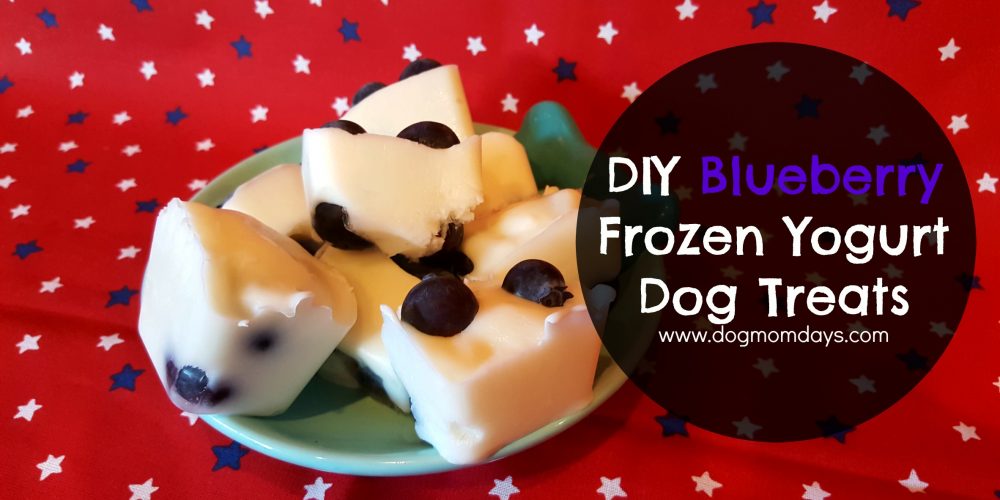 DIY blueberry frozen dog treats