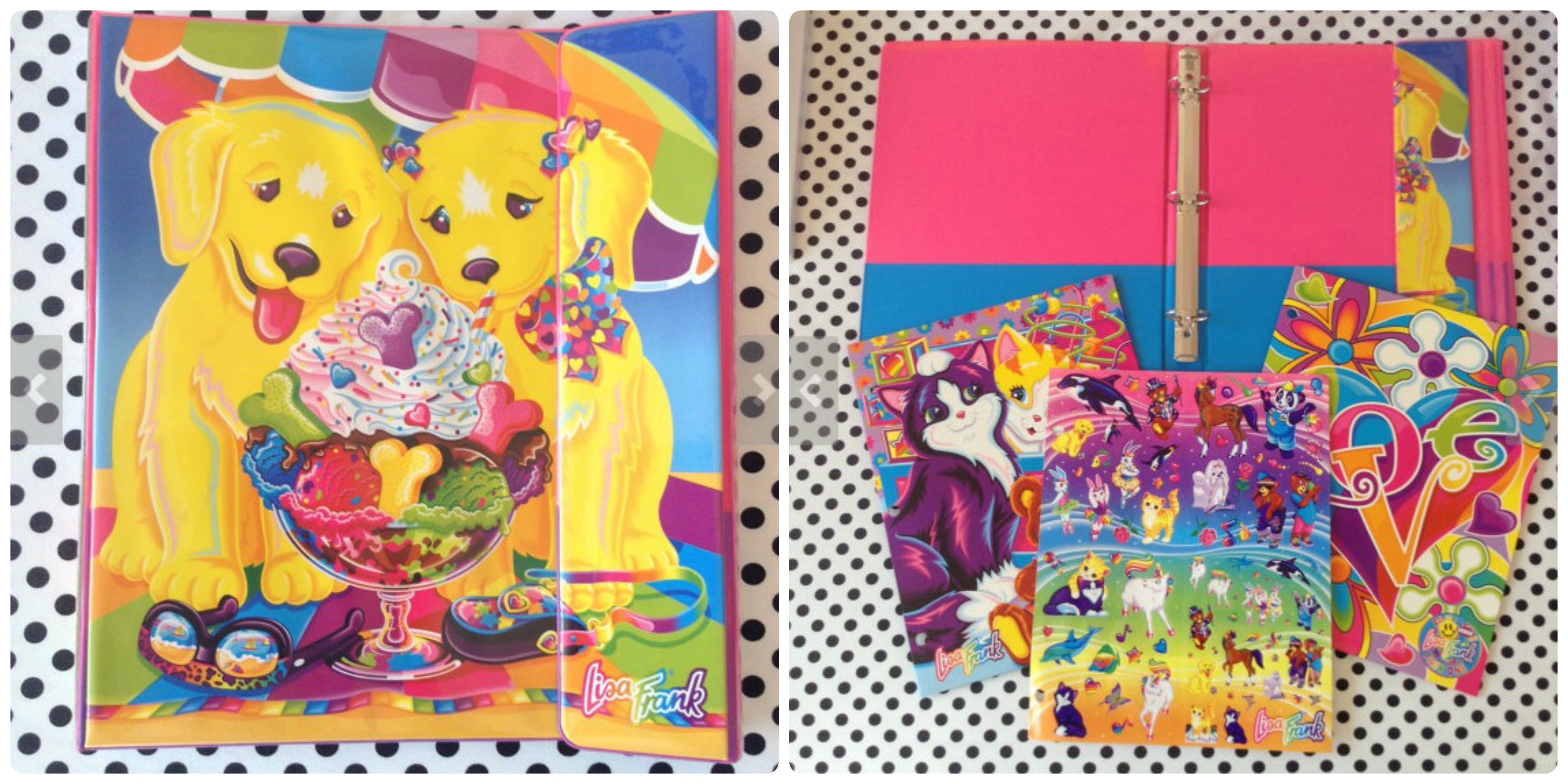The Lisa Frank trapper keeper I bought!