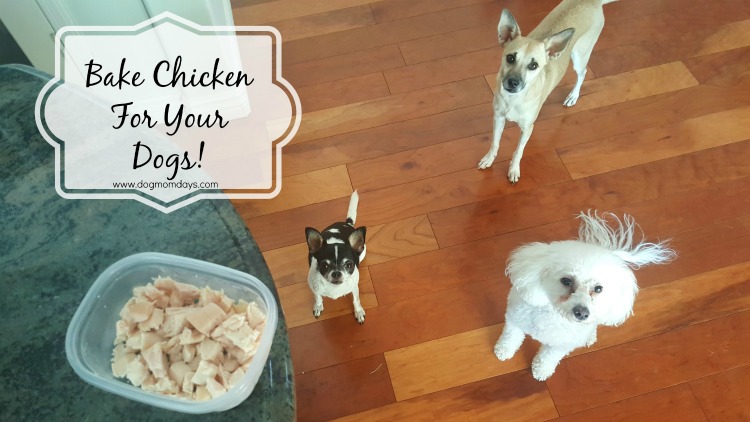 bake chicken for dogs