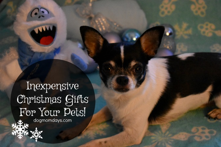 Christmas gifts for your pet