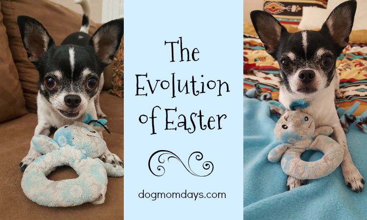 The Evolution of Easter Bunny
