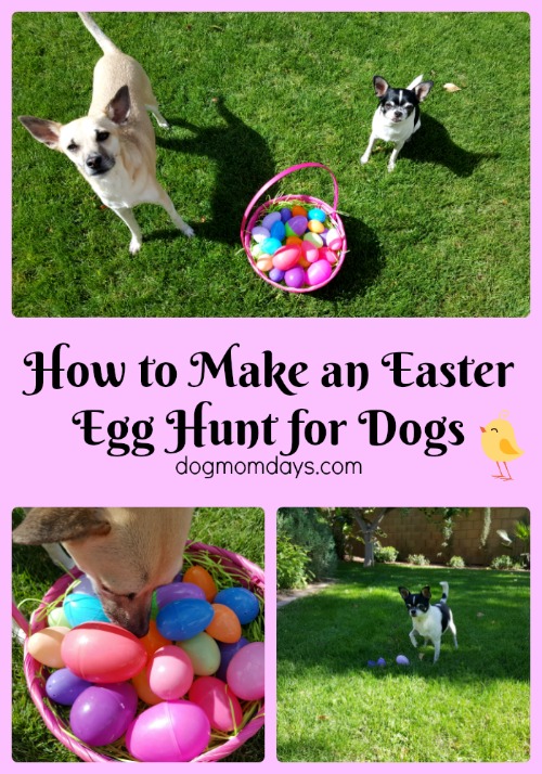 how to make an Easter egg hunt for dogs