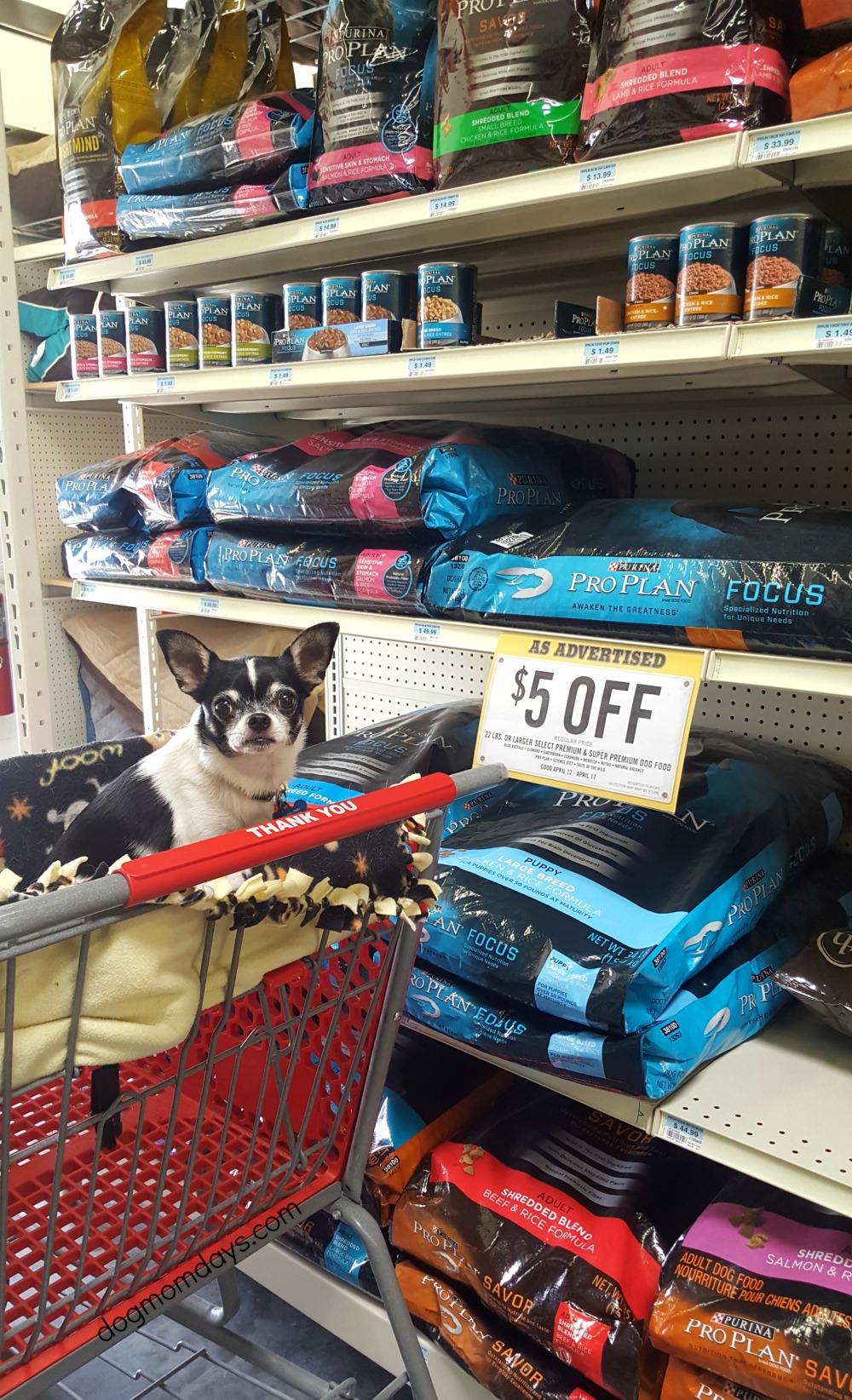Purina Products at Tractor Supply