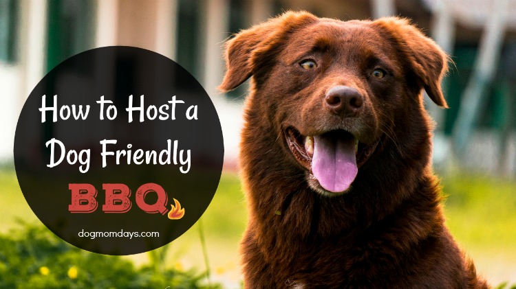 How to host a dog friendly BBQ
