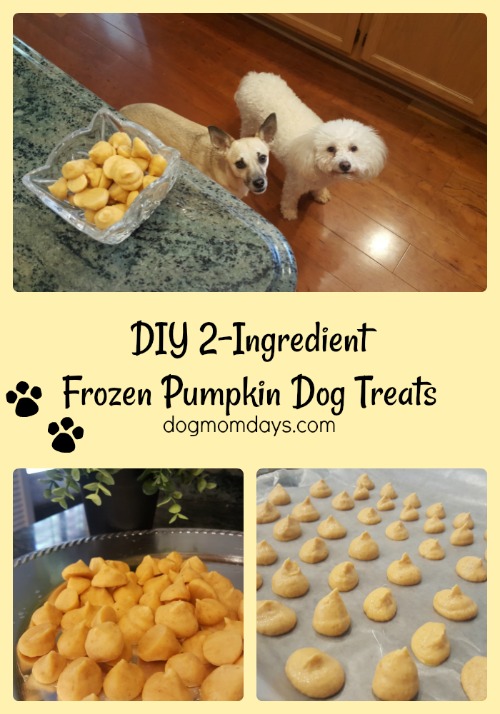 frozen pumpkin dog treats