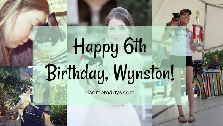 Wynston's 6th birthday