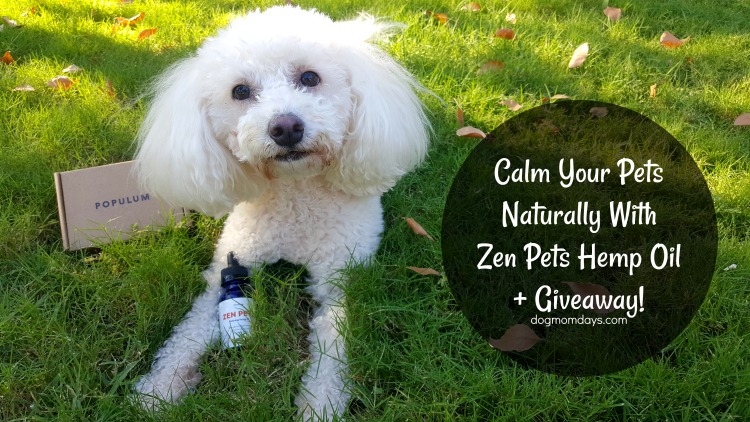 Zen Pets hemp oil
