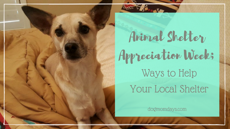 Animal Shelter Appreciation Week