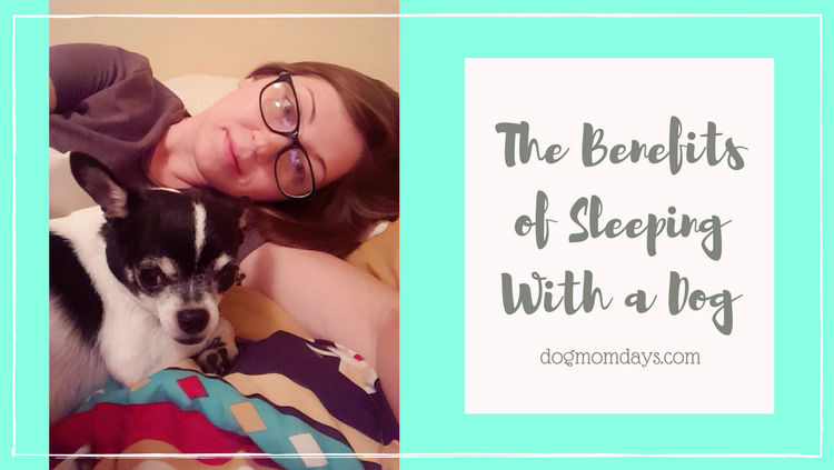 the benefits of sleeping with a dog
