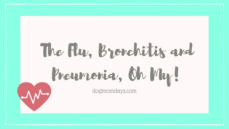 the flu, bronchitis and pneumonia