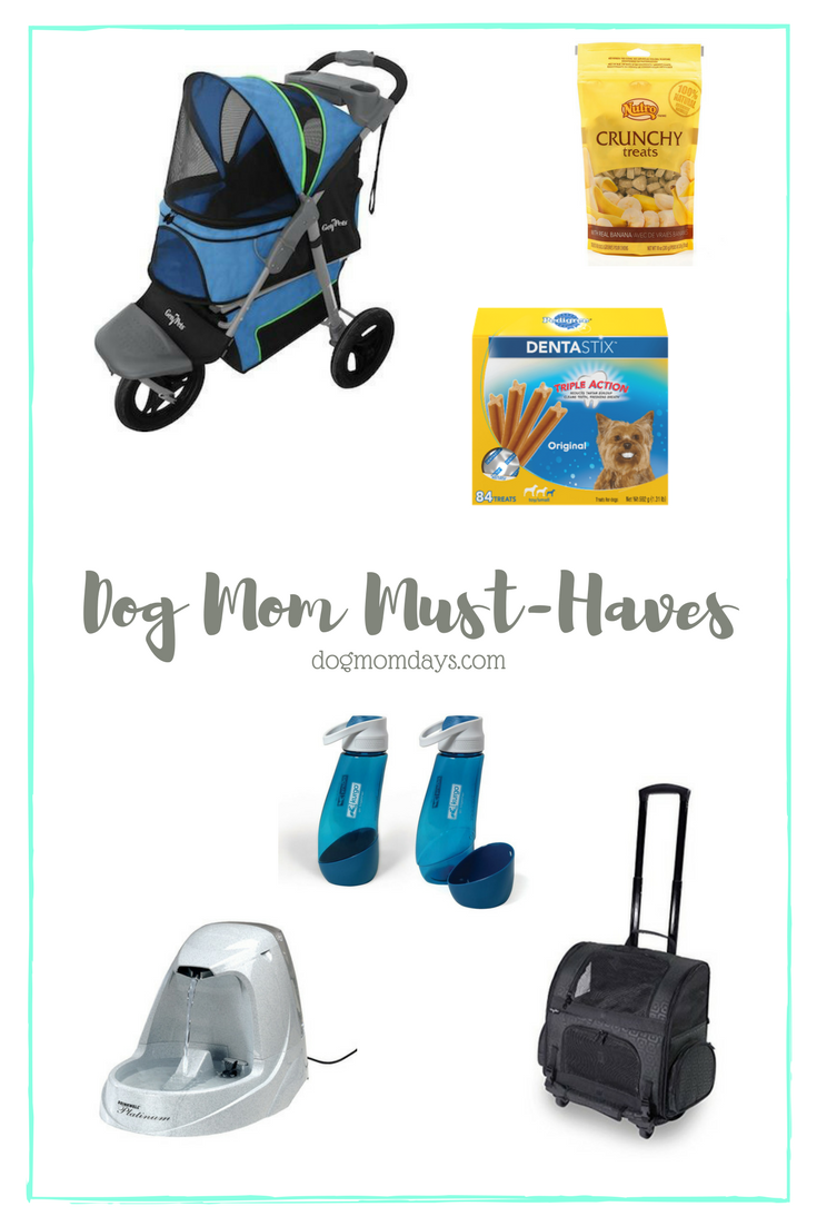 dog mom must-haves