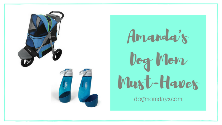 dog mom must-haves