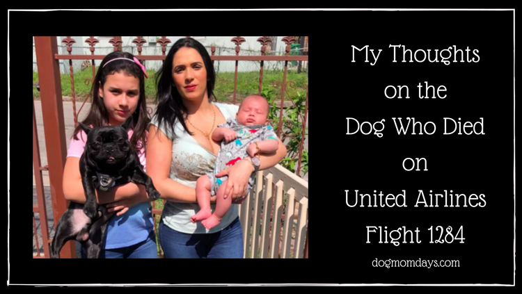 United Airlines Flight 1284