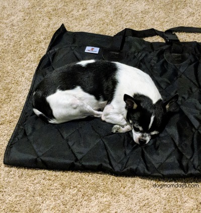 4Knines seat cover review