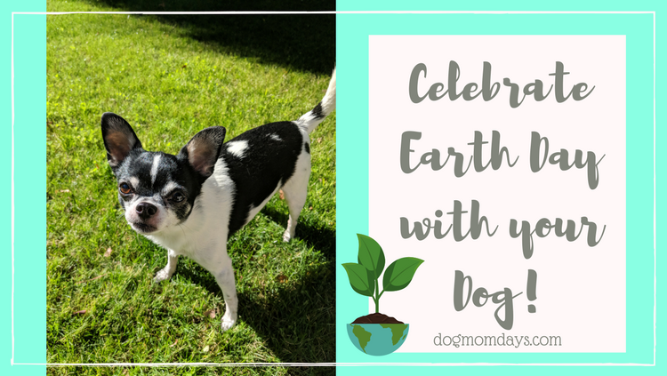 Earth Day with your Dog