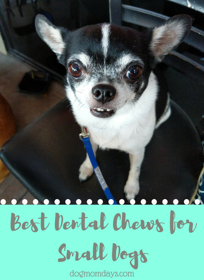 best dental chews for small dogs