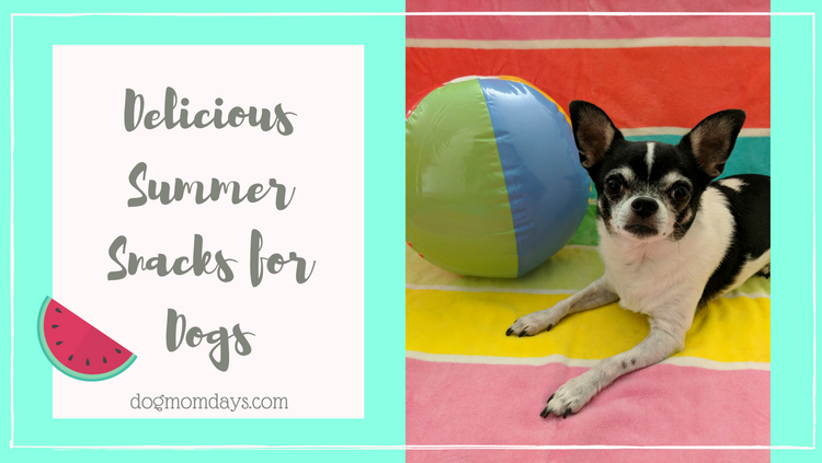 delicious summer snacks for dogs