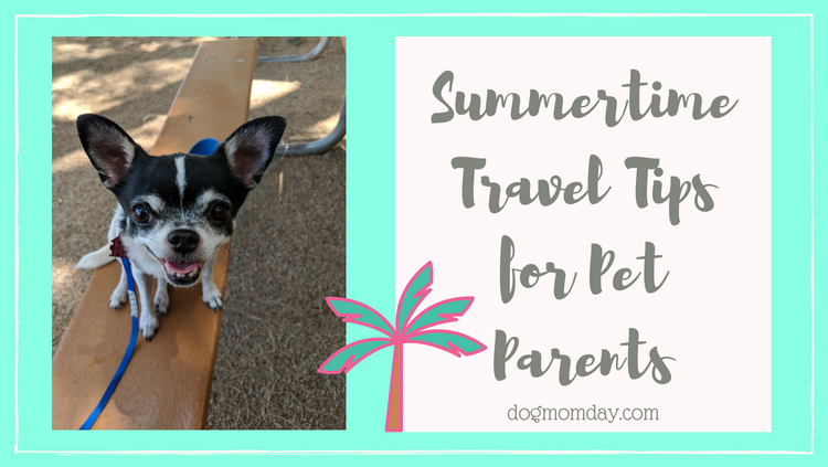Summertime Travel Tips for Pet Parents