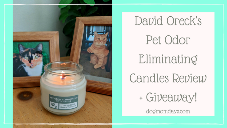 David Oreck's Pet Odor Eliminating Candles review