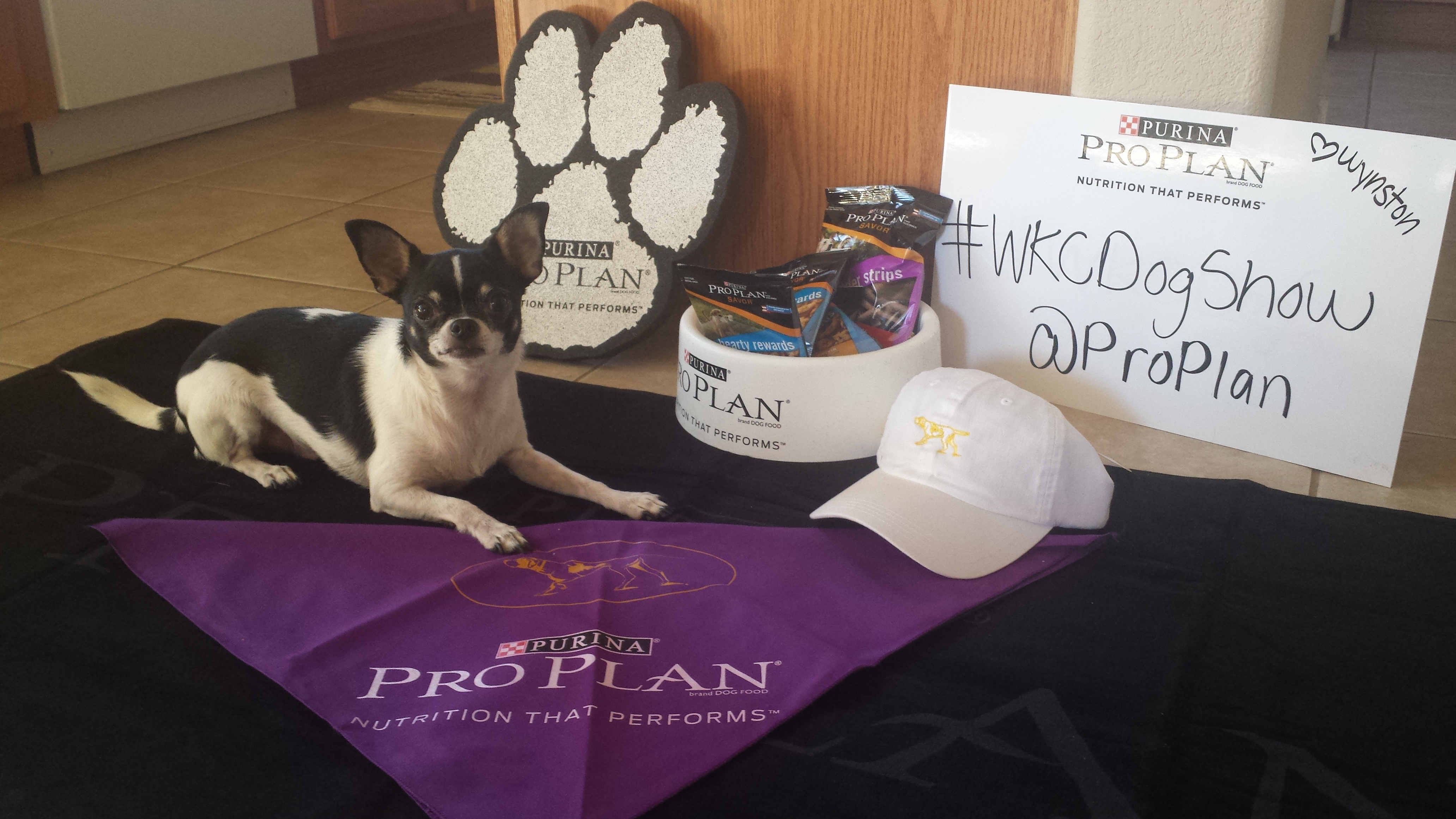 Thanks to Pro Plan for preparing us for the 139th Westminster Kennel Club Dog Show! 