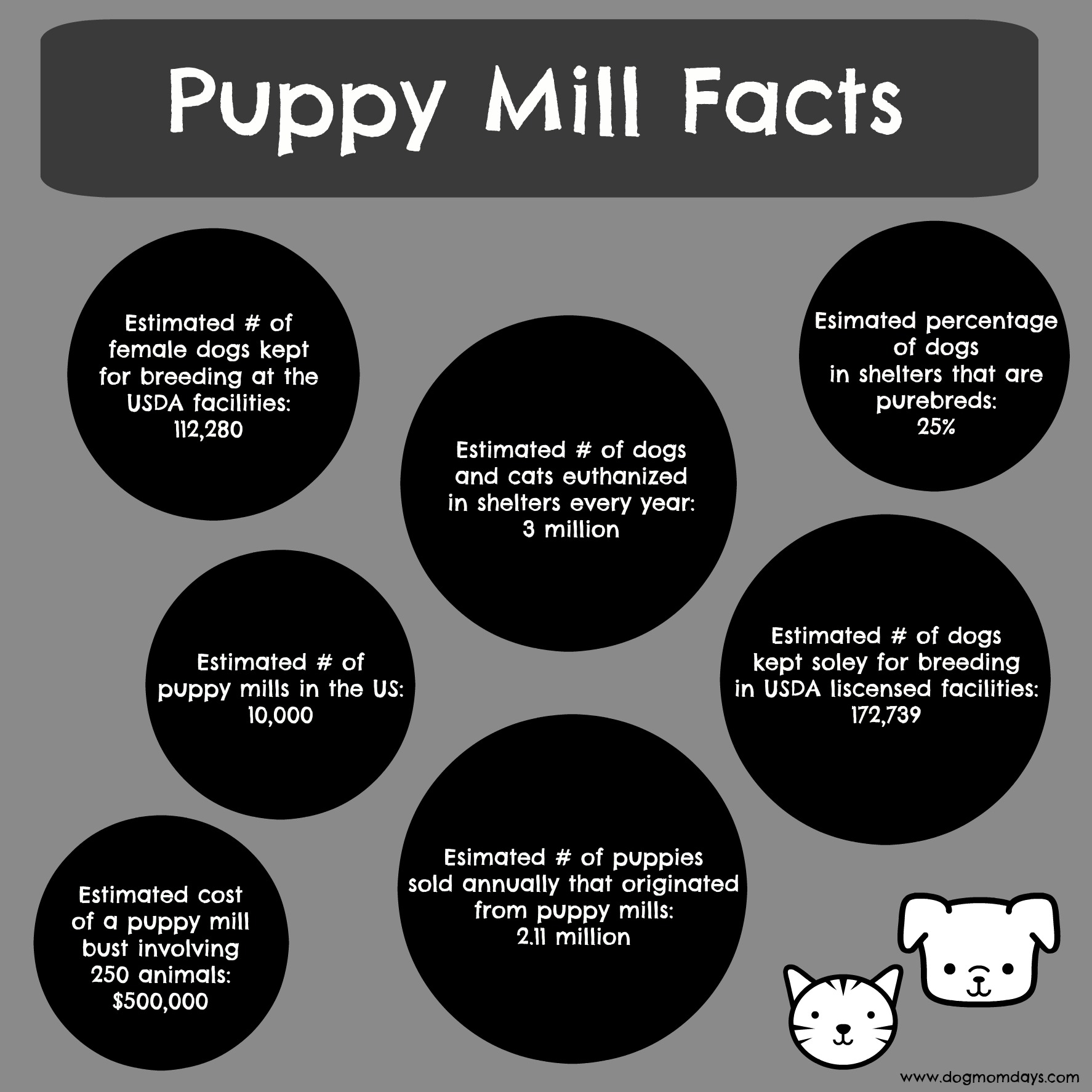 puppy mills