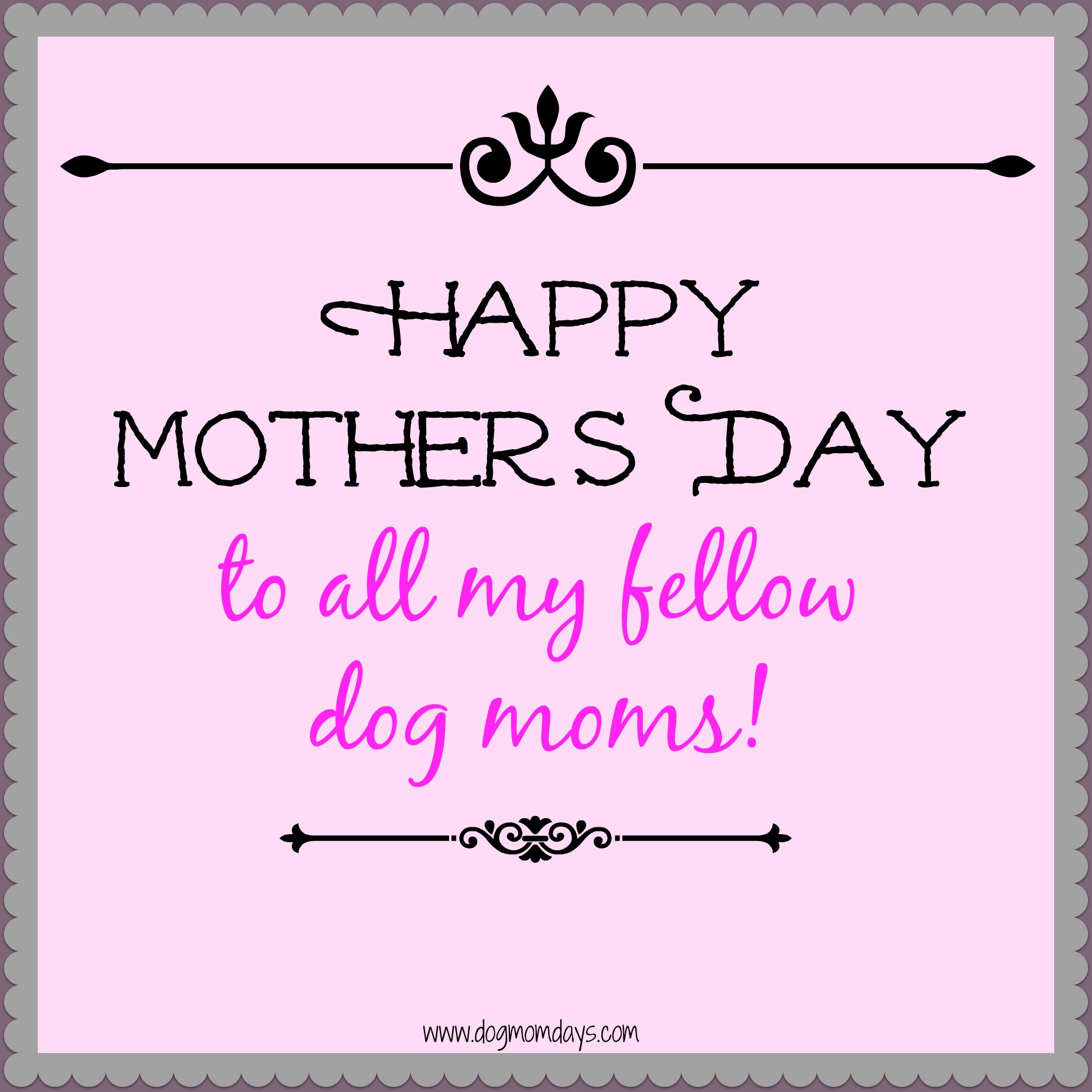 Dog Mom Gifts for Mother's Day - Dog Mom Days