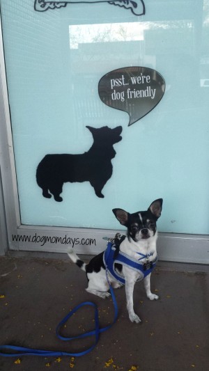 Many of the stores in Downtown Mesa are dog friendly. 