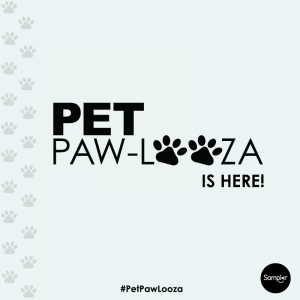 PetPawLooza_Is Here