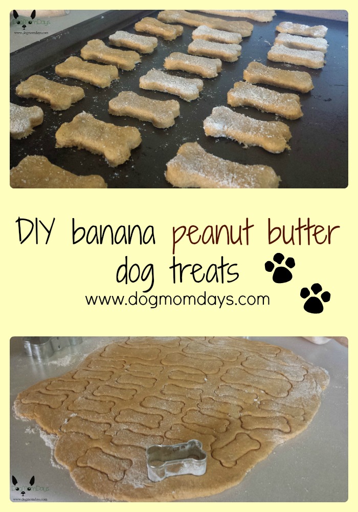 homemade banana peanut butter dog treats