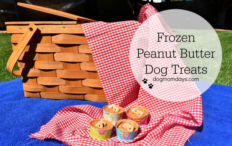 frozen peanut butter dog treats