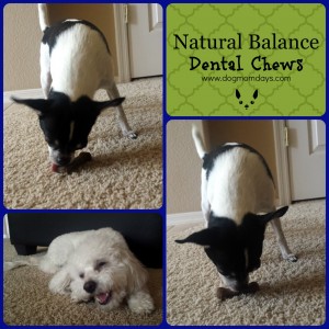 Natural Balance dental chews