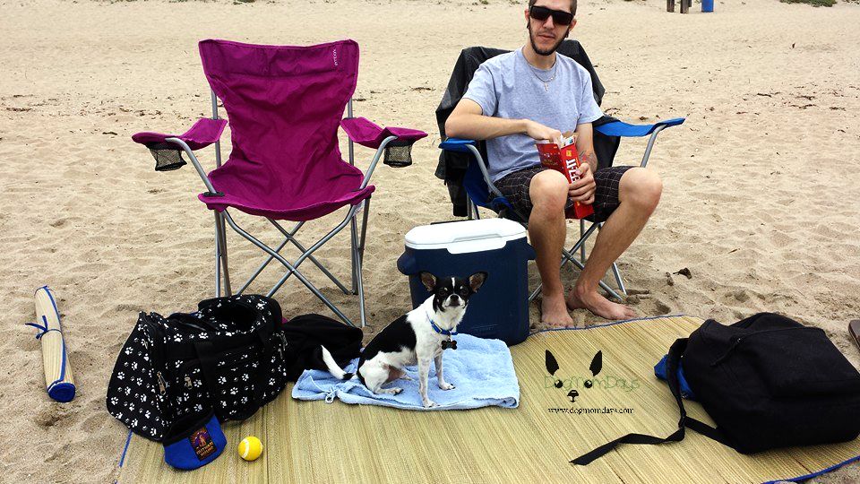 Huntington dog beach