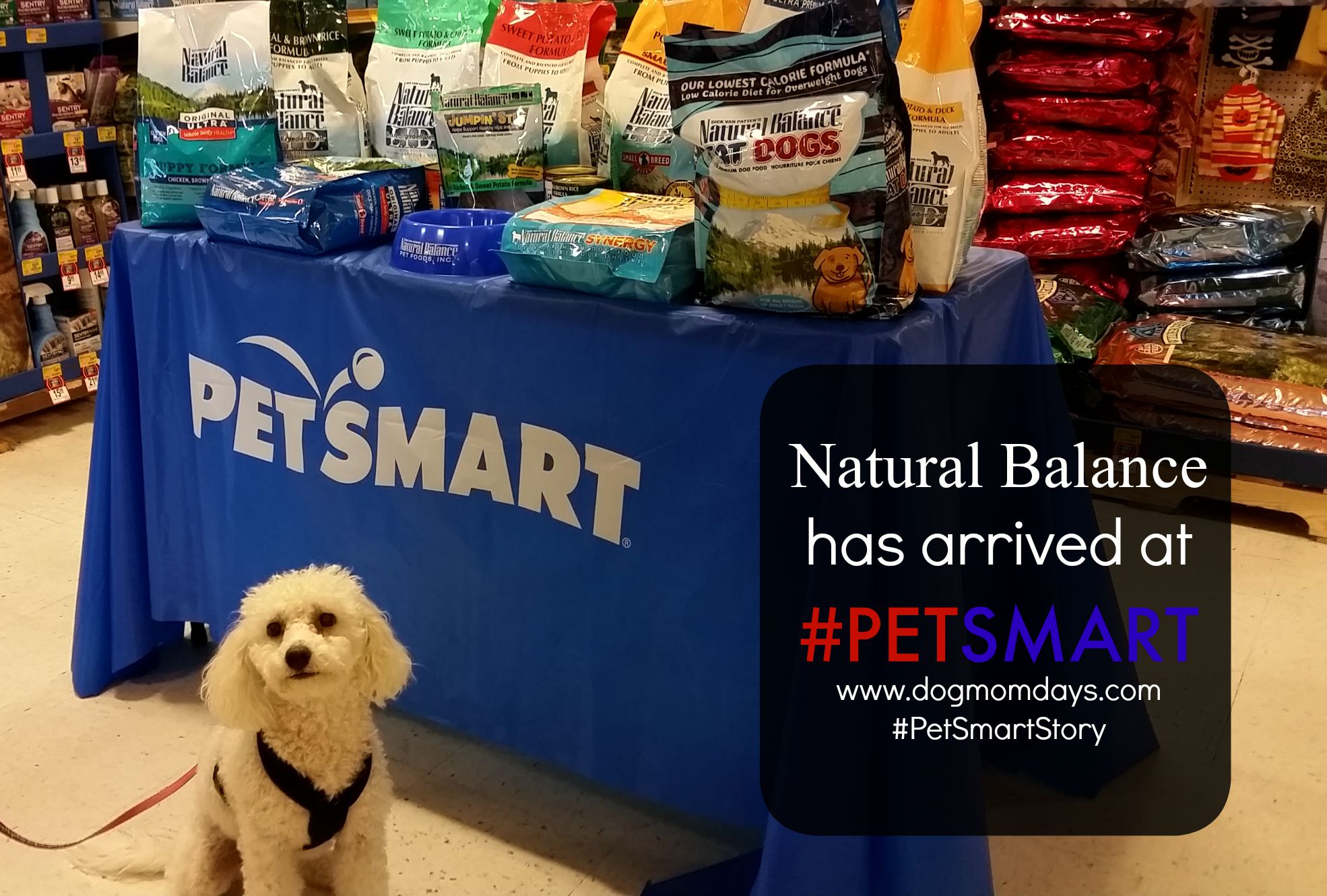 Natural Balance PetSmart