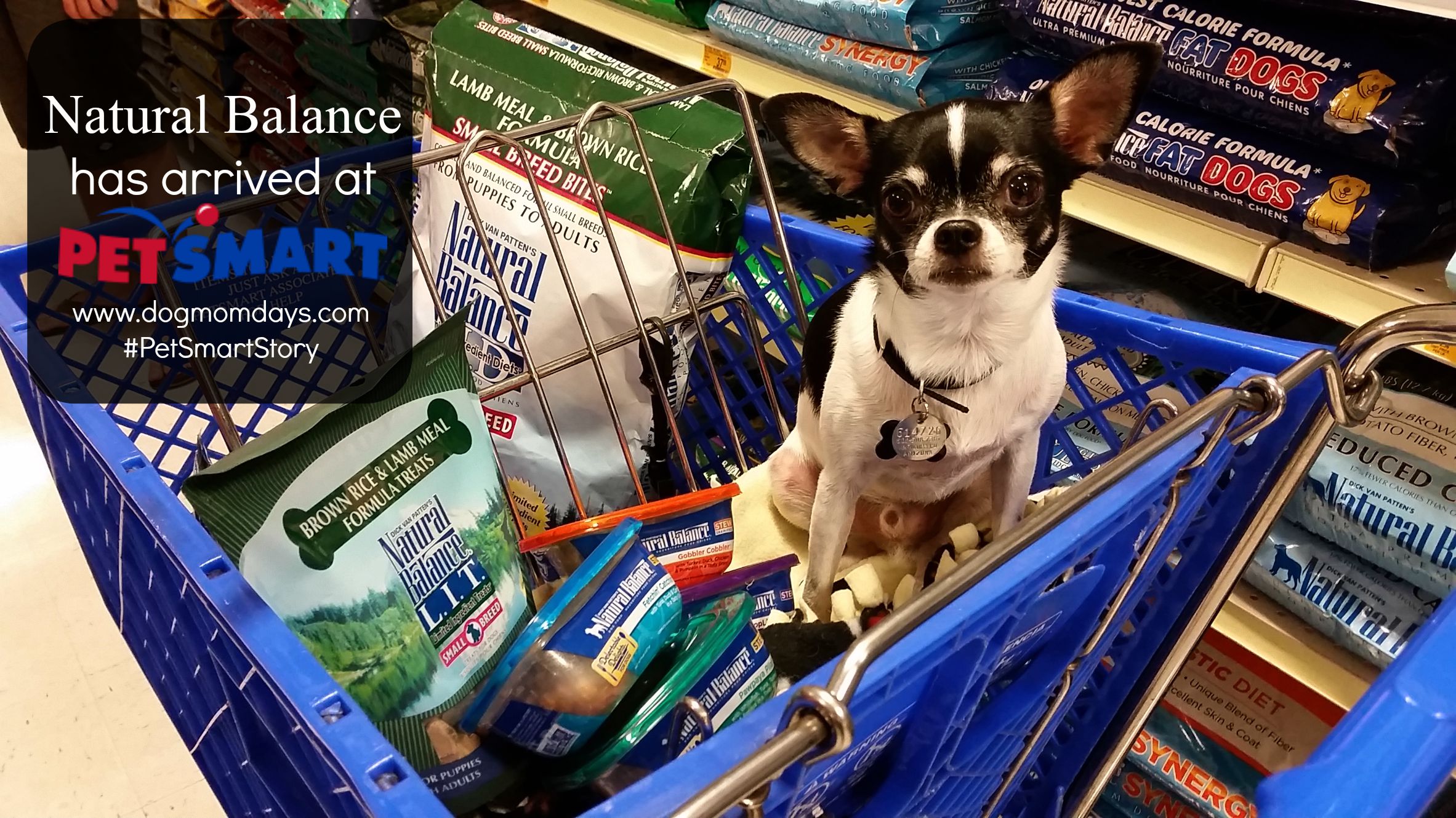 It s Reason To Celebrate Natural Balance Has Arrived At PetSmart 