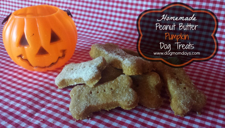 peanut butter pumpkin dog treats