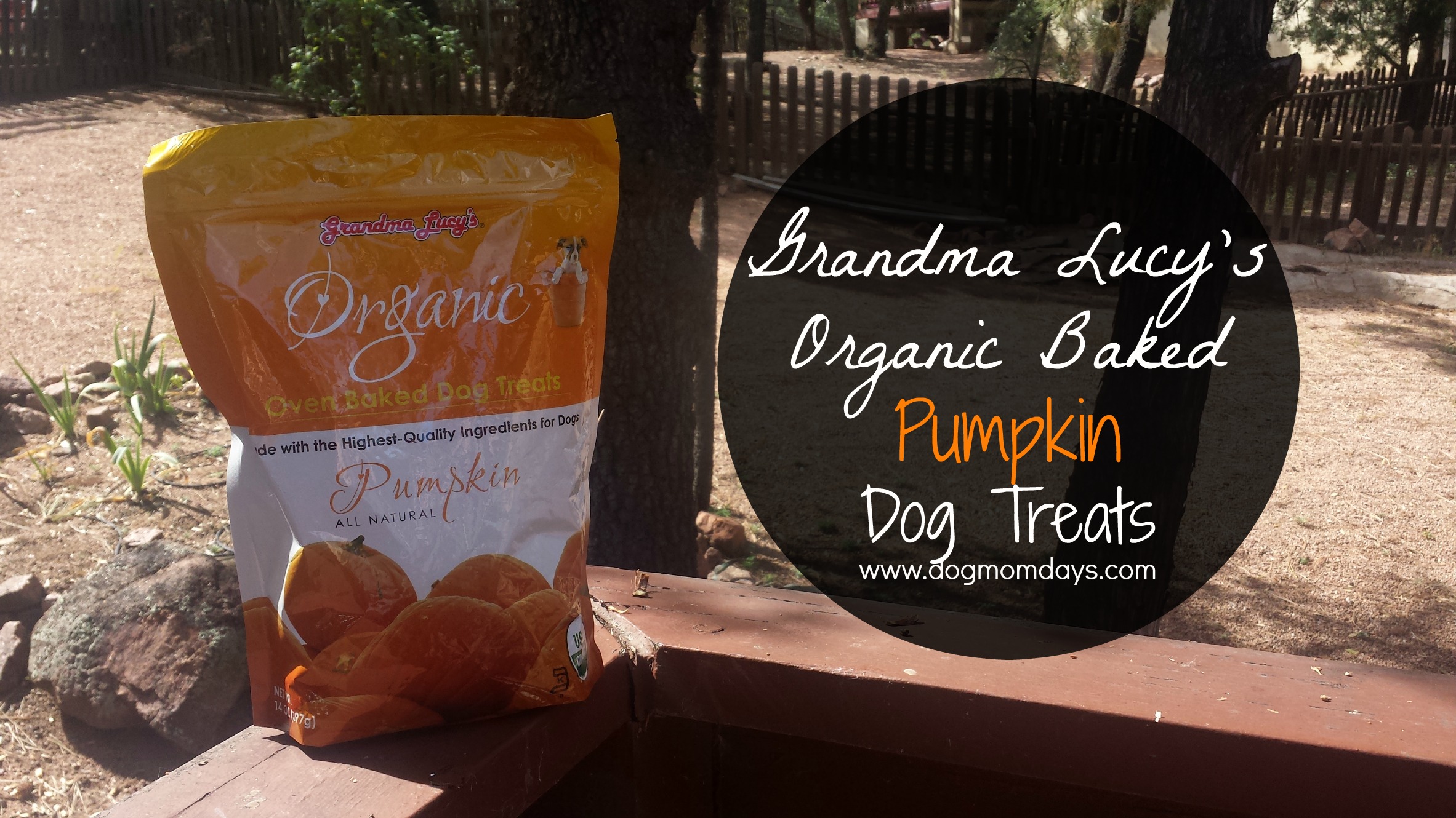 Grandma Lucy's Organic Baked Pumpkin Dog Treats product review