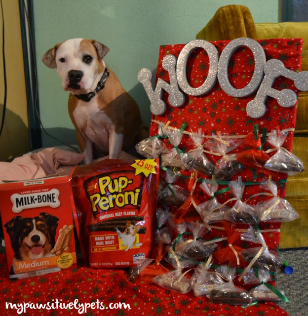 DIY dog treat advent calendar